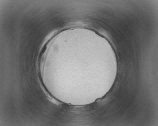 X0000080671477200701121620