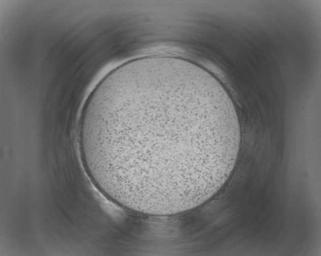 X0000080671478200701121619