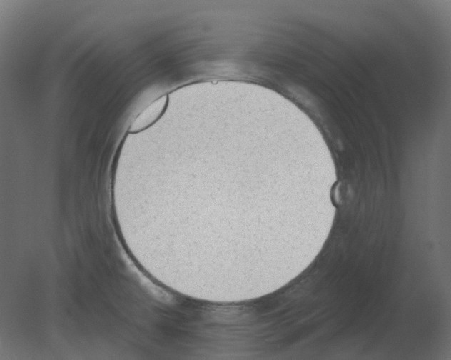 X0000080671479200701121619