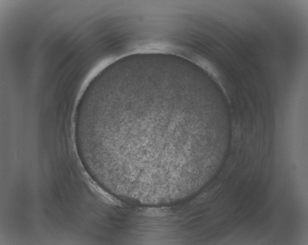 X0000080671480200701121619