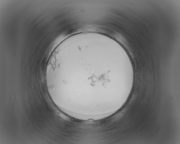 X0000080671481200701121619