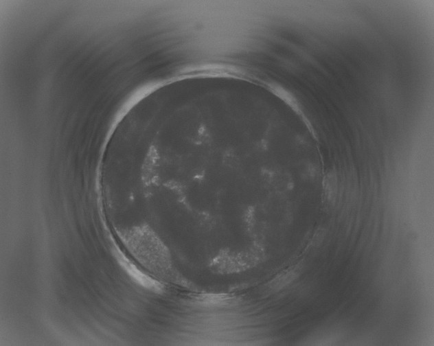 X0000080671482200701121619