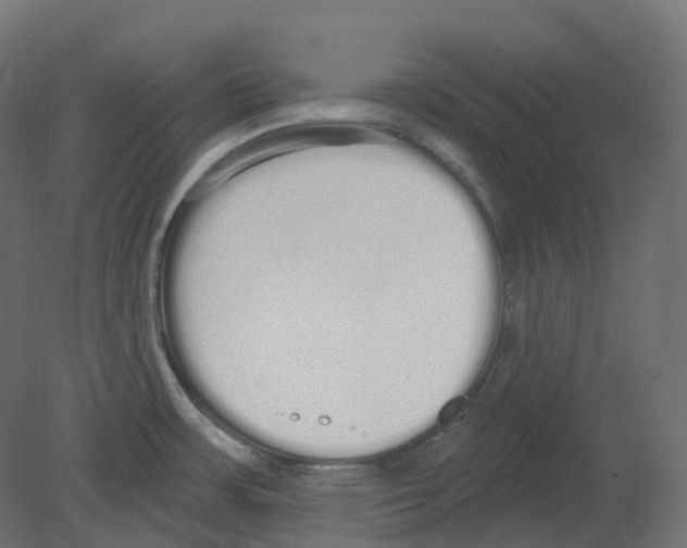 X0000080671483200701121619