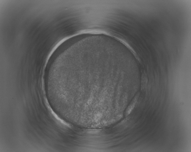 X0000080671484200701121619