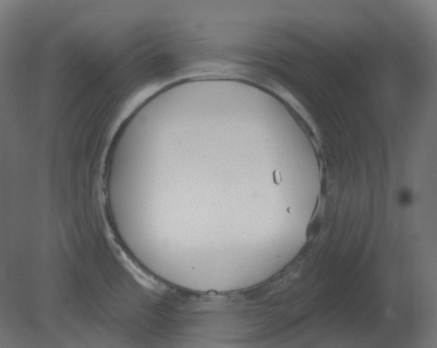 X0000080671485200701121619