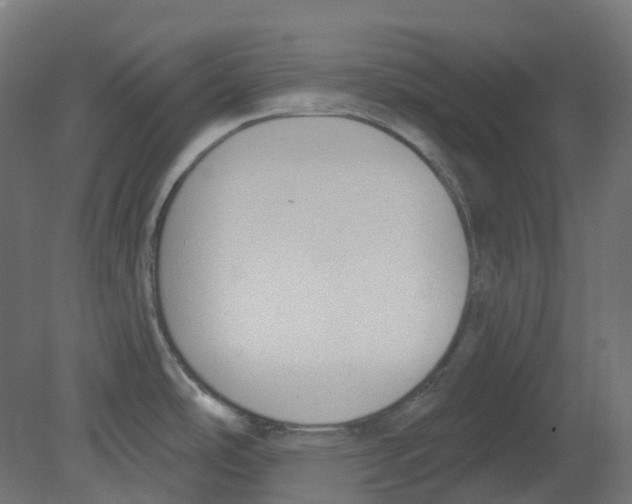 X0000080671486200701121619