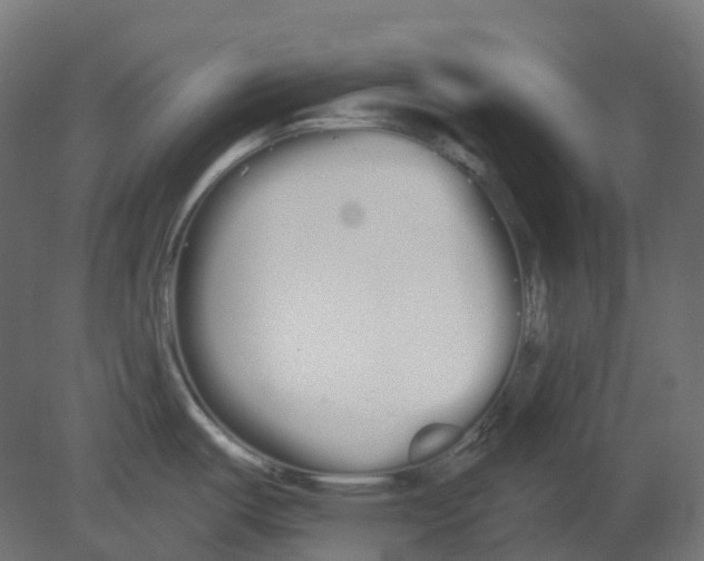 X0000080671487200701121619