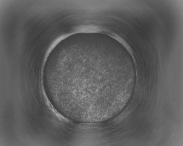 X0000080671488200701121619