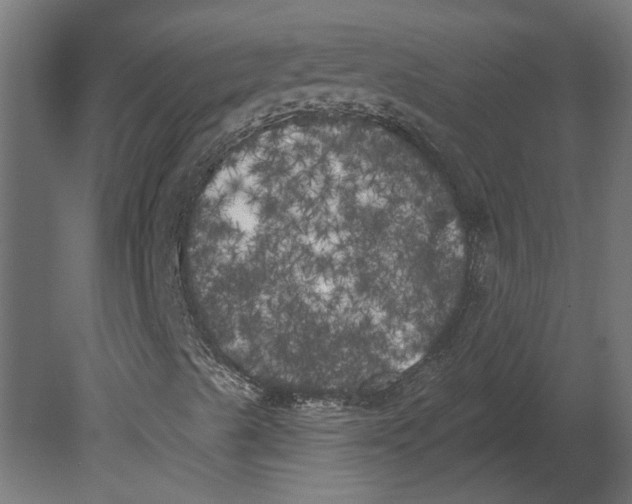 X0000080671489200701121618