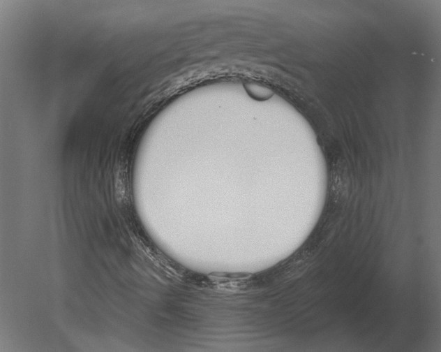 X0000080671490200701121619