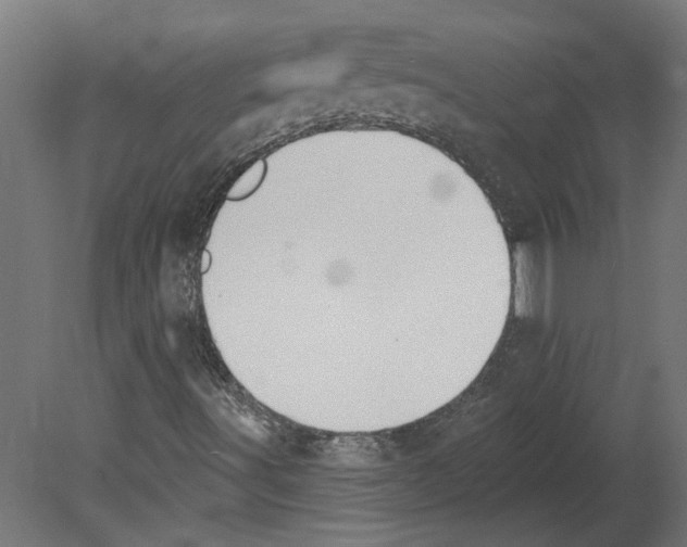 X0000080671491200701121619