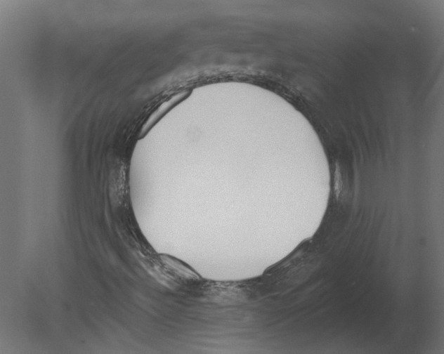 X0000080671492200701121619