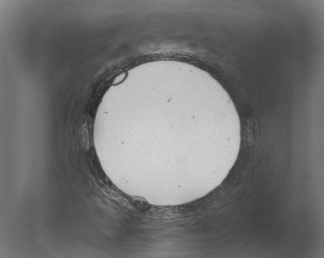 X0000080671493200701121619