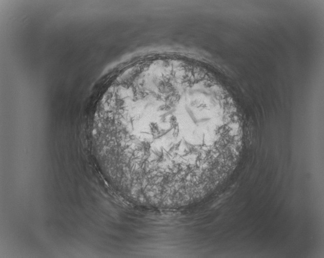 X0000080671494200701121619