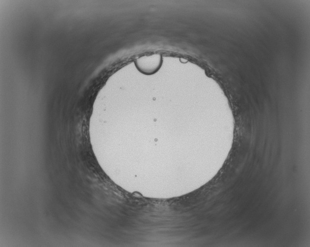 X0000080671495200701121619