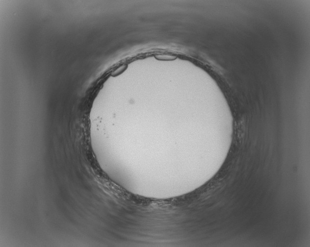 X0000080671496200701121619