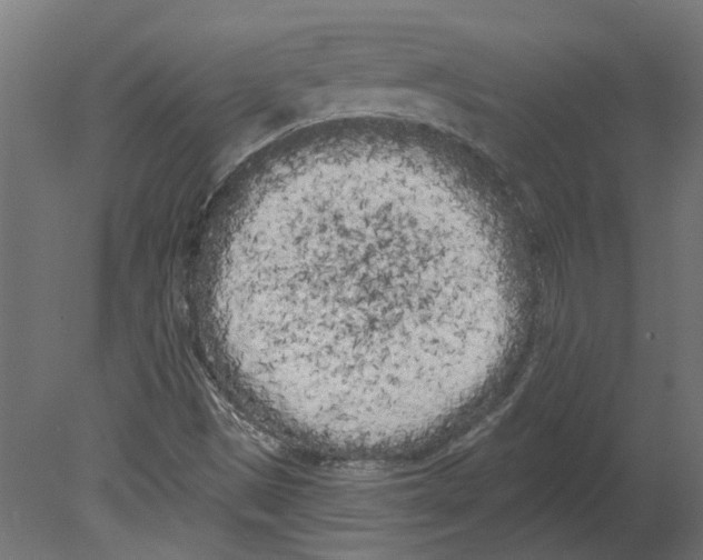 X0000080671497200701121619