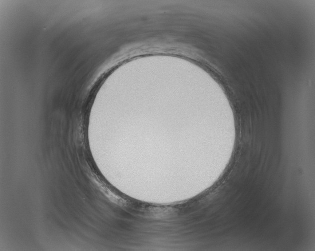 X0000080671498200701121619