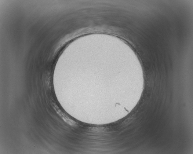 X0000080671499200701121619