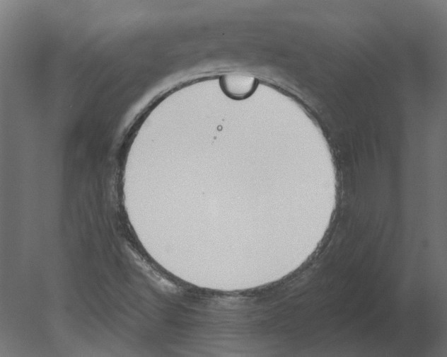 X0000080671502200701121619