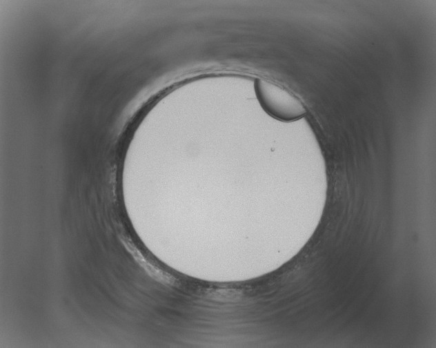 X0000080671503200701121619