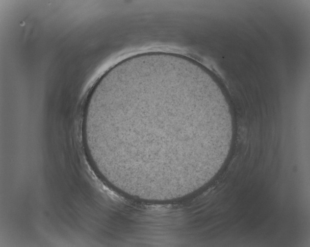 X0000080671504200701121619