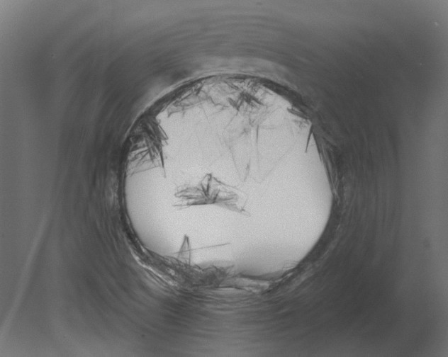 X0000080671505200701121619