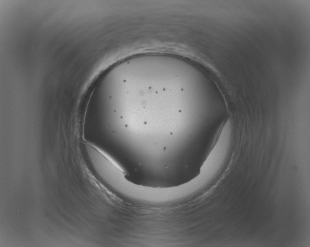 X0000080671506200701121619