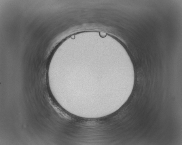 X0000080671507200701121619