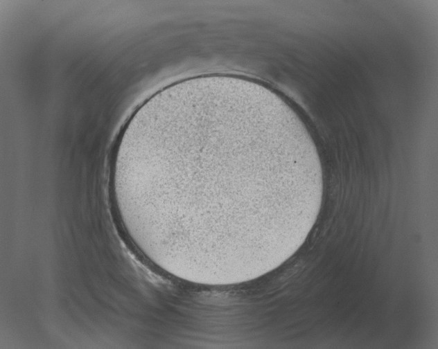 X0000080671508200701121619