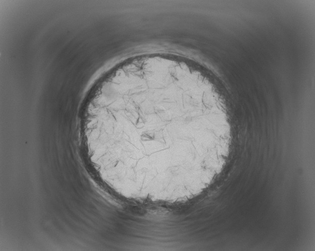 X0000080671509200701121619