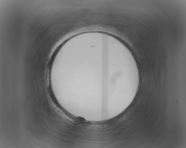 X0000080671510200701121619