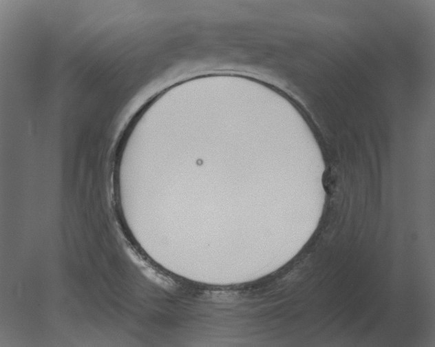 X0000080671511200701121619