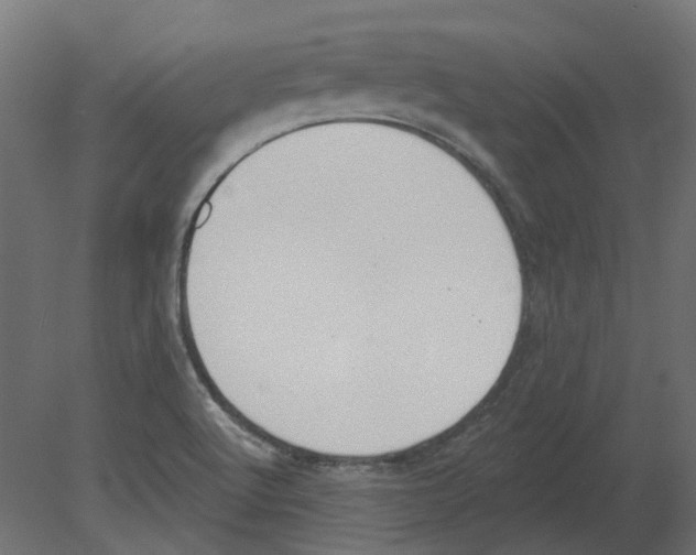 X0000080671512200701121619