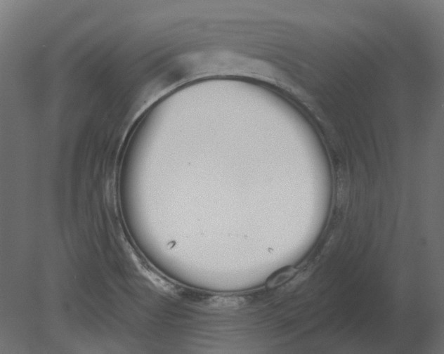 X0000080671513200701121619