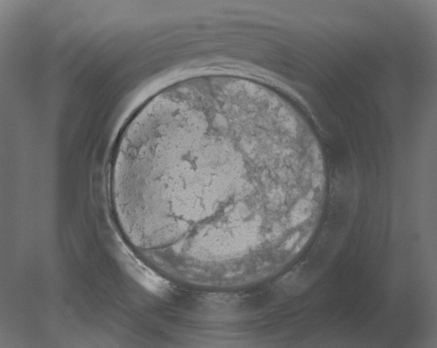 X0000080671514200701121619