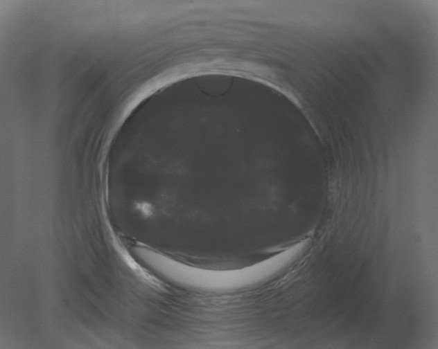 X0000080671515200701121619