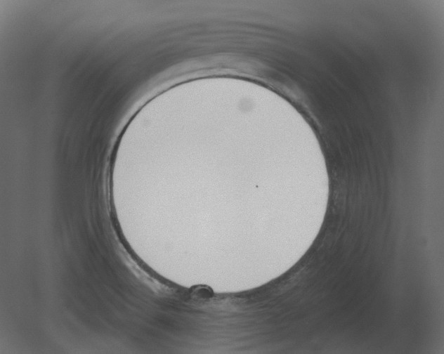 X0000080671516200701121619