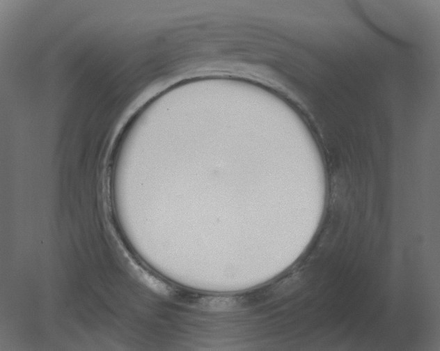 X0000080671517200701121619