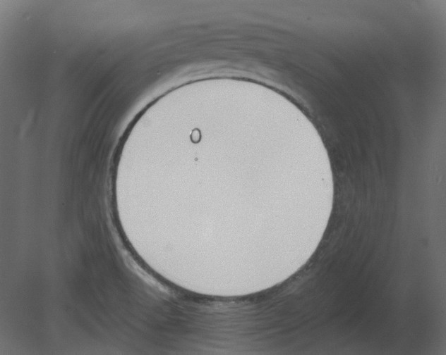 X0000080671518200701121619