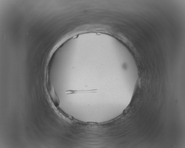 X0000080671520200701121619