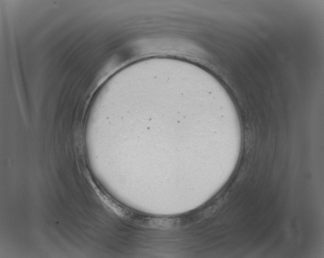 X0000080671521200701121619