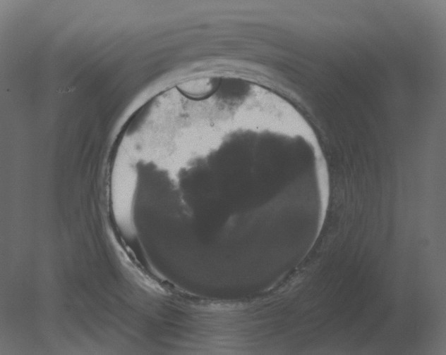 X0000080671522200701121619