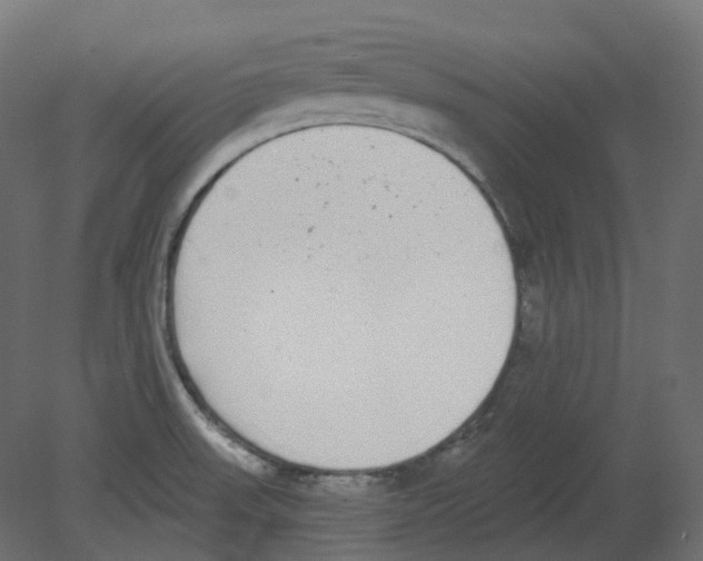 X0000080671523200701121619