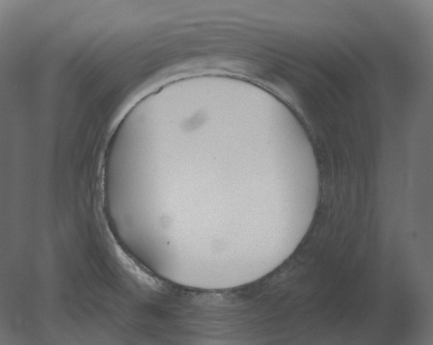 X0000080671524200701121619