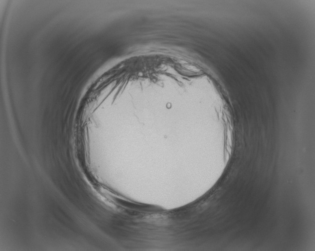 X0000080671525200701121619