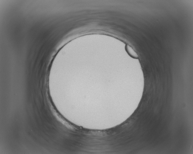 X0000080671526200701121619