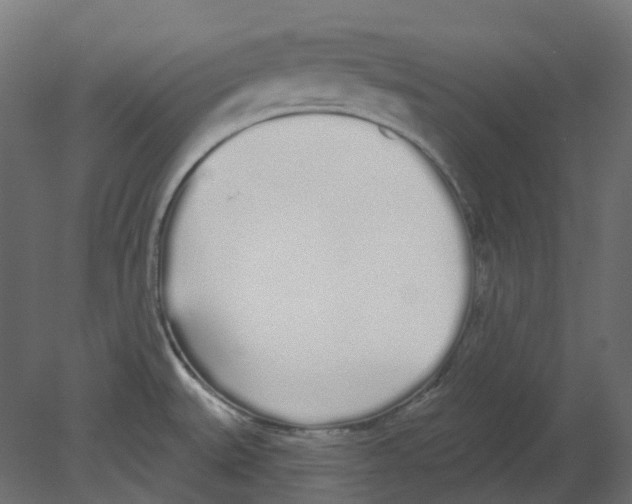 X0000080671527200701121619