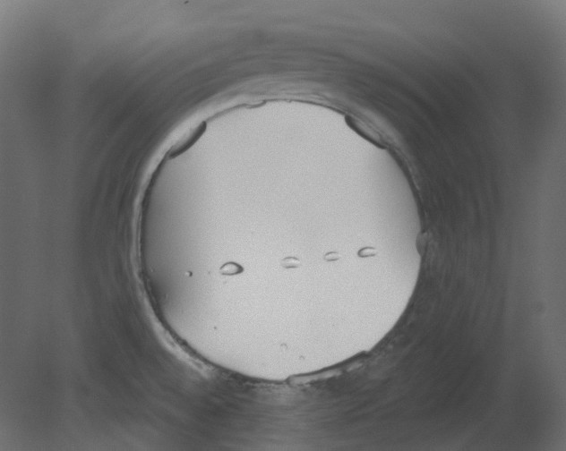 X0000080671528200701121619