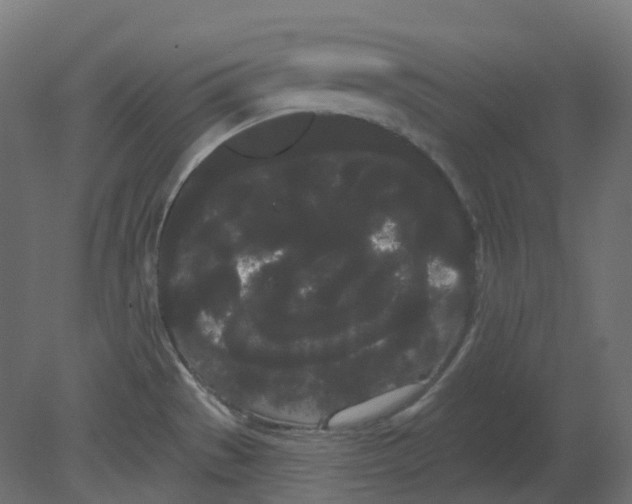 X0000080671529200701121619